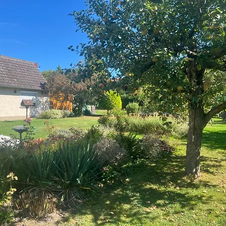 Ruhige In Apartment *